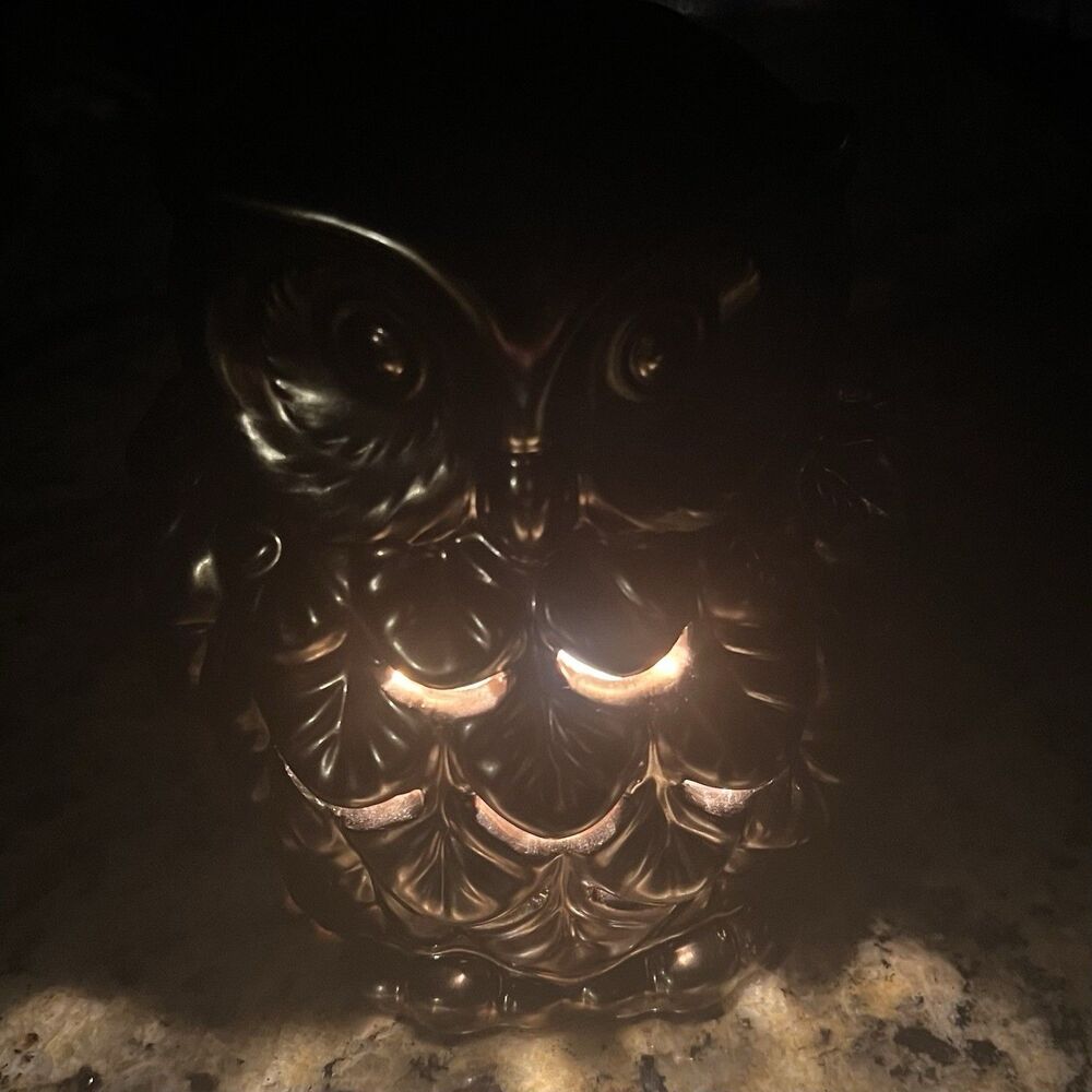 Owl Wax Warmer Ceramic Electric Gold Metallic Discontinued Home Decor Tabletop✨